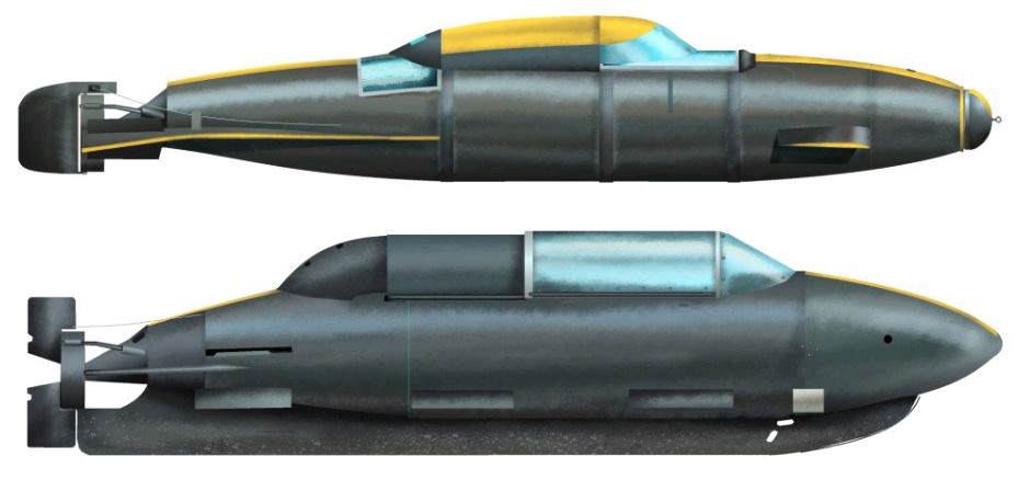 Les taxis submersibles de la Piscine