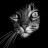 Avatar de Lise A.