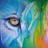 Avatar de Thorgari